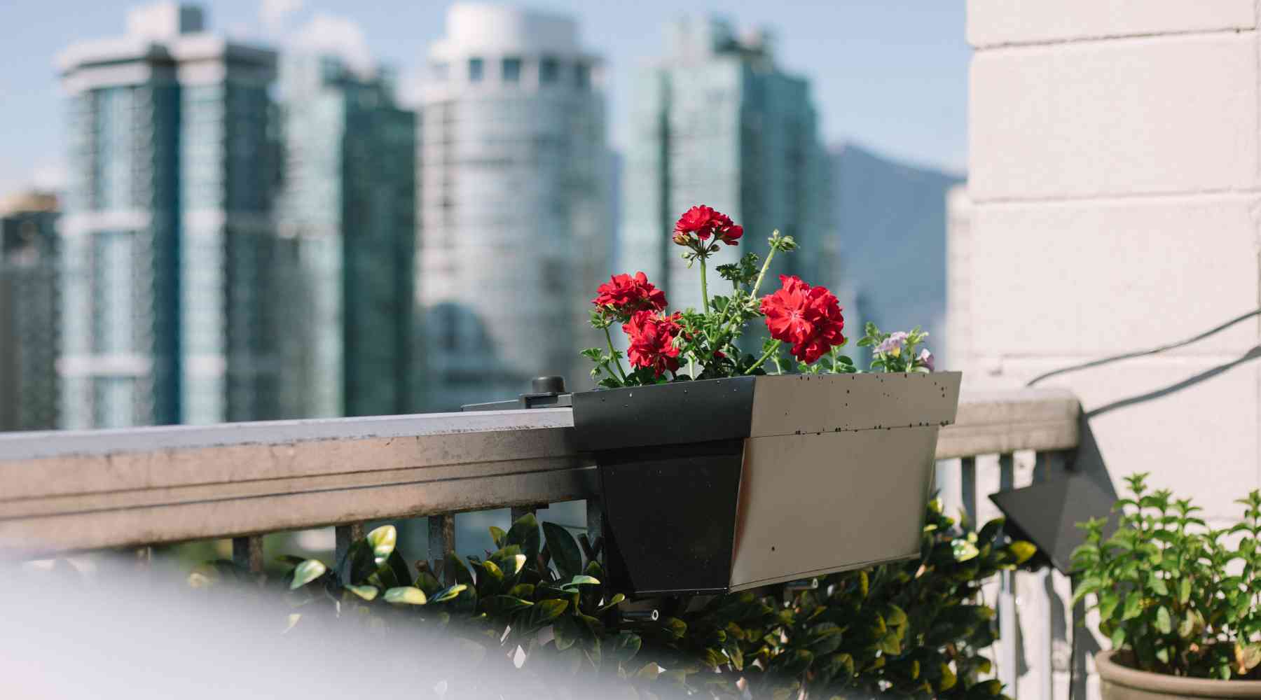 Elevate Your Green Haven: Starting a Small Balcony Vertical Garden - Views Balcony Bar | Turn your Balcony into a Bar!
